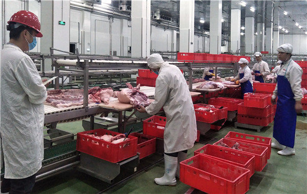 肉类生产部的二三事 猪肉的前世今生