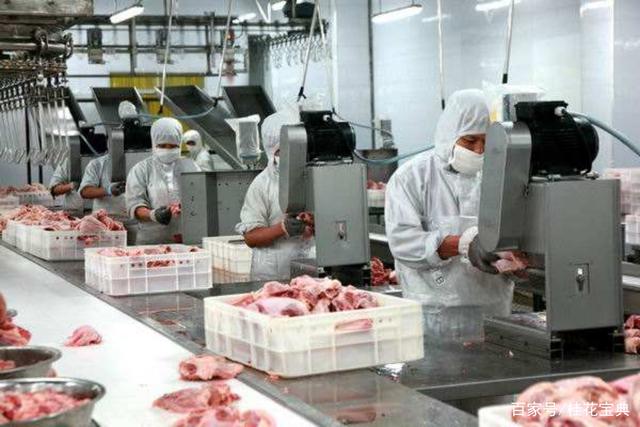 揭秘路边2元烤肠 猪肉含量与食品安全探析