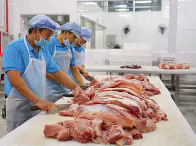 快看！你的腊肠里有黑钻石——一场关于猪肉的奢华误解