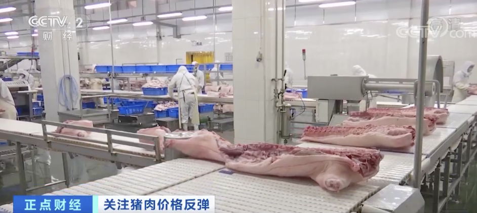 猪肉一公斤涨近7元 行情背后的推手与后市走向