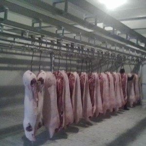 猪肉冷库 保障猪肉品质与安全的关键设施