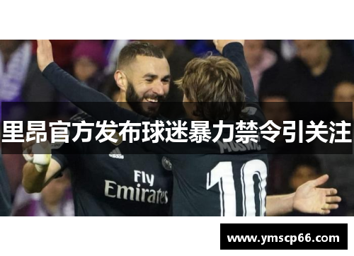 里昂官方发布球迷暴力禁令引关注